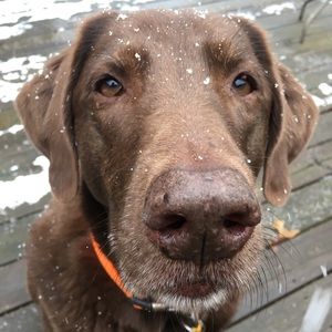 Meet your Posher, Nakayla